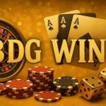 Navigation Tips for Smooth Platform Access BDG Win App
